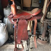 Sella americana Texas One