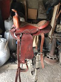 Sella americana Texas One