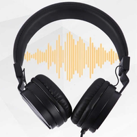 Rilevatore  perdite tubi acqua gas  sottoterra.