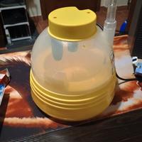 incubatrice elettrica covatutto7