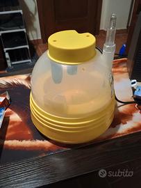 incubatrice elettrica covatutto7