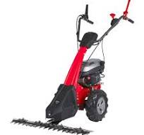 Motofalciatrice Progeen nuova per  ripensamento