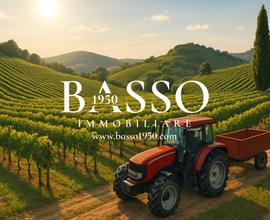 Prosecco - colline di conegliano