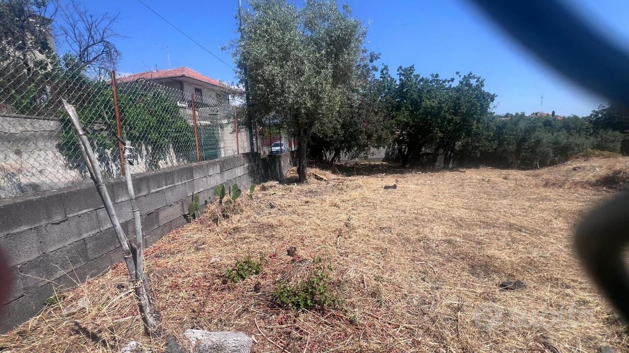 Agricolo a Tremestieri Etneo - Altro