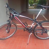 Bicicletta Bottecchia 100 Rta