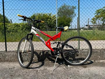 Bicicletta sportiva ammortizzata