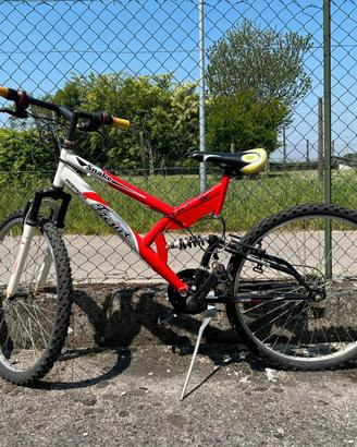 Bicicletta sportiva ammortizzata