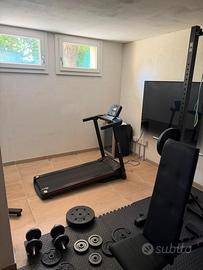 Palestra
