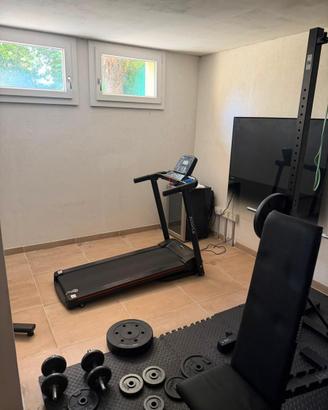 Palestra