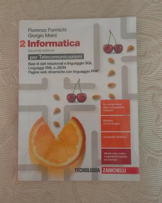 libro di informatica 