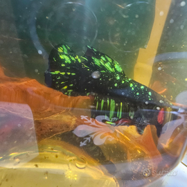 Avatar pk betta indonesia