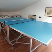 Tavolo da Ping Pong