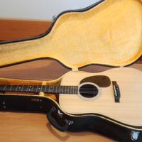 Chitarra ARIA D40