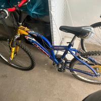 MOUNTAIN BIKE DA RAGAZZO RUOTA 24