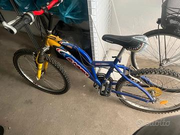 MOUNTAIN BIKE DA RAGAZZO RUOTA 24