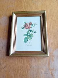 quadro 15x20cm 