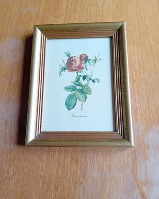 quadro 15x20cm 