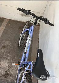 Bicicletta mountain bike