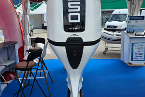 Honda BF250D DWB Manetta Elettronica