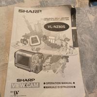 CAMCORDER CON QUADRANTE A CRISTALLI LIQUIDI