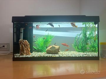 Acquario 55 L
