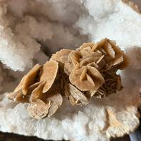 Rosa del deserto 236 gr