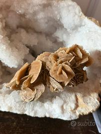 Rosa del deserto 236 gr