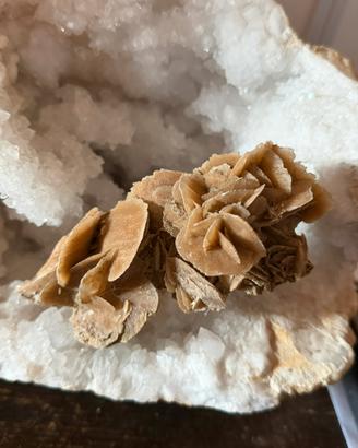 Rosa del deserto 236 gr