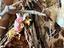 Immagine 4