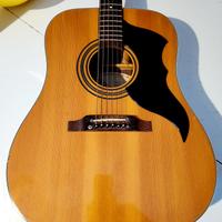 Eko Ranger VI anni '70 made in Recanati