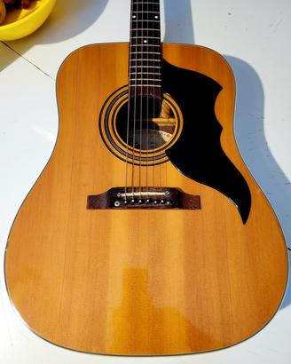 Eko Ranger VI anni '70 made in Recanati