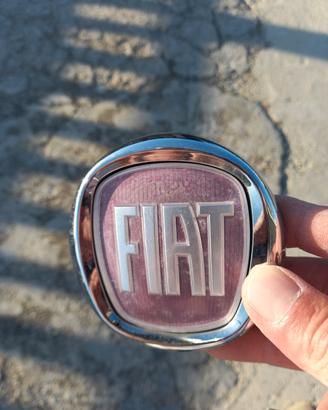 logo fiat punto evo con apri bagagiaio