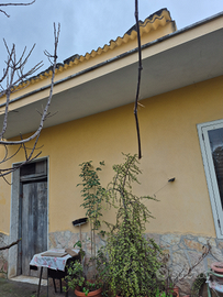 Casa con giardino singola