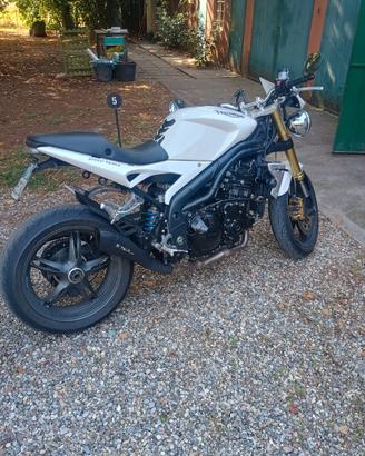 speed triple 1050