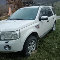 Land rover freelander 2.2 motore rotto