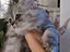 Immagine 4