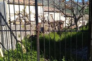 Terreno con rustico a petralia sottana