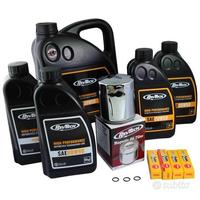 Harley Davidson Touring M8 Engine Tagliando Kit