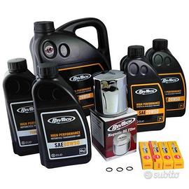 Harley Davidson Touring M8 Engine Tagliando Kit