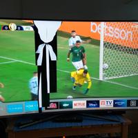 Samsung Smart TV Curva 55" - SCHERMO ROTTO