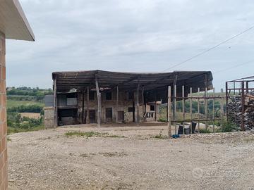 Casolare rustico con corte Marche