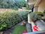 Immagine 18