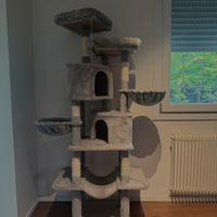 tiragraffi per gatti