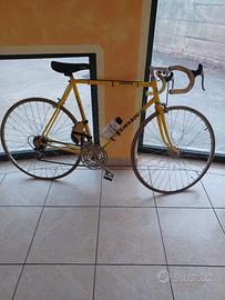 bicicletta da collezione 