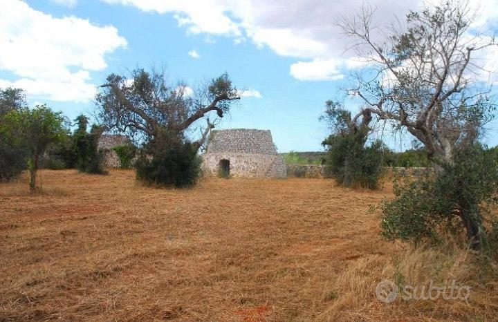 Terreno Agricolo 2.500 mq con pajara a Specchia (L - Vista 3