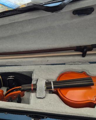 Violino 1/16 Domus Rialto