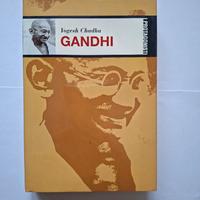 Gandhi - biografia 