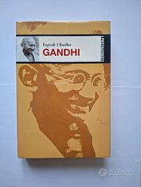 Gandhi - biografia 