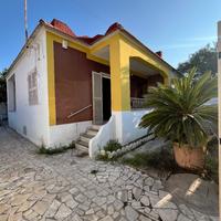 Rif. 455 destra volturno - villetta con giardino b