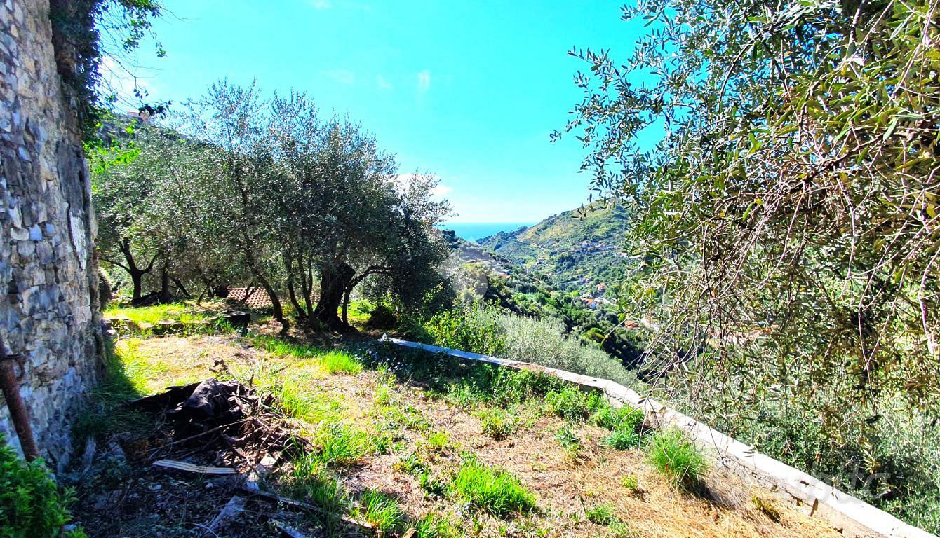 RUSTICO A SANREMO - Altro
